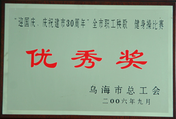 2006年慶祝建市三烏海市十周年全市職工秧歌健身操比賽優(yōu)秀獎(jiǎng)